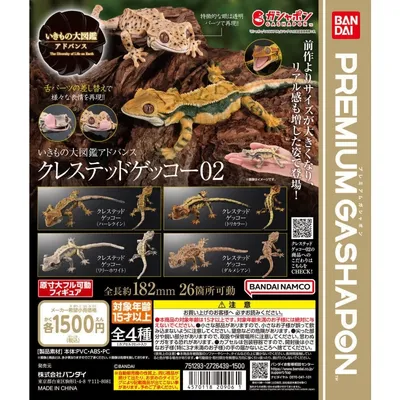 Bandai Original 4Pcs PREMIUM Gashapon crested gecko02 Action Figure Toys For Kids Gift Collectible