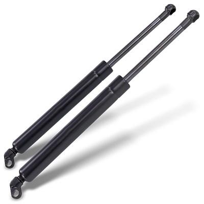 Bestprice 2x Gasfeder, Koffer-/Laderaum [Hersteller-Nr. 20669] für BMW Image