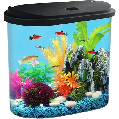 4.5-Gallon Aquarium Starter Kit with Full Filtration and LED Lighting - 7 Dazzling Colors to Select