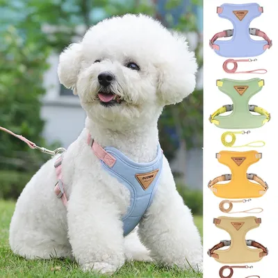 Hundegeschirr, Leine-Set, Haustiergeschirr, verstellbar für kleine Hunde, Haustierleine, Image