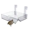 Großes Schildkröten dock abnehmbare Schildkröten dock Schildkröten terrasse höhen verstellbare