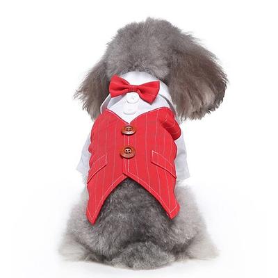 Hunde Katzen Anzug Modisch Kuschelig Winter Weich Waschbar Komfortabel Hochzeit Outdoor Party Geburtstag Hochzeitsfeier Hundebekleidung for Bichon Frise Pudel Spitz kleines Haustier Schmetterling