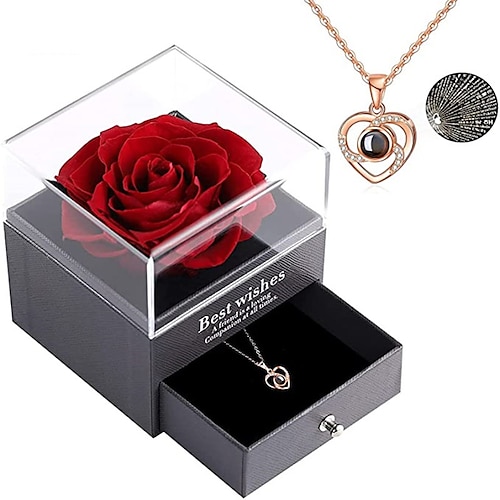 Weihnachtsgeschenke für Frauen Mama Frauen-Tag Geschenke Valentinstags Produkt 925 Sterling Silber herzförmiger Projektionshalskette für Frauen in 100 Sprachen Anhänger Muttertagsgeschenke für Mama Image