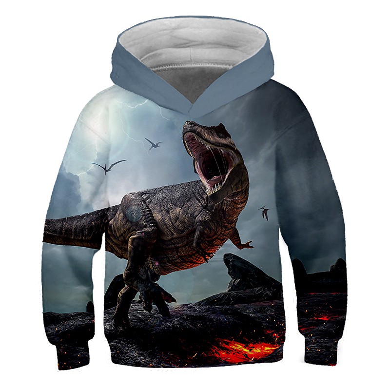 Kids Toddler Boys' Hoodie Sweatshirt Long Sleeve Dinosaur Fantastic Beasts 3D Print Color Block Animal White Blue Yellow Children Tops Active Streetwear Children's Day 2-12 Years