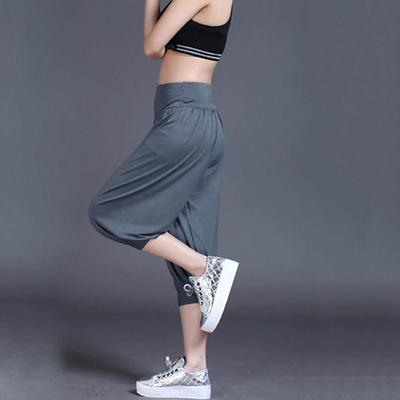 Women's Harem Pants Quick Dry Lightweight High Waist Yoga Zumba Fitness Gym Workout Bloomers Capri Pants Fashion White Black Green Modal Plus Size Sports Activewear High Elasticity Loose / Royal Blue