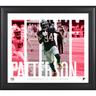 Cordarrelle Patterson Atlanta Falcons Framed 15"" x 17"" Player Panel Collage