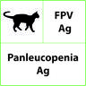 Test rapido veterinario FPV Ag Panleucopenia - 10 test