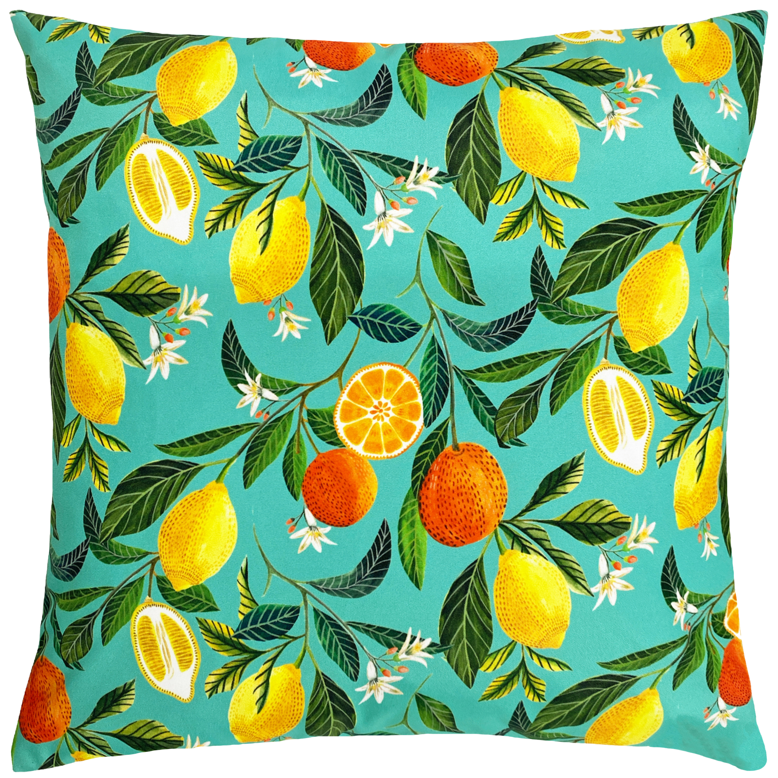 Evans Lichfield Orange Blossom Outdoor Cushion - Multicolour - One Size | Evans Lichfield Sale | Discount Designer Brands