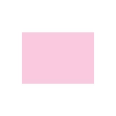 Karteikarten - DIN A4, blanko, rosa, 100 Karten