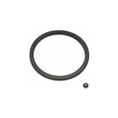 Dichtungsset Größe 2 Avanti/Infinity/Bolero 2' 2-060563 - BWT Image