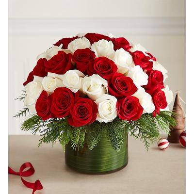 1-800-Flowers Flower Delivery Candy Cane Swirl Roses Large