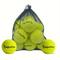 TEMU Tennis Balls, 12 Pack Advanced Tennis Ball Practice Balls, Tennis Balls For Dog, Come With Mesh Bag For Transport, Good For Beginner Training Tennis Ball