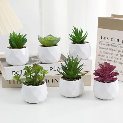 Artificial Succulent Bonsai Plants Simulation Succulents Mini Evergreen Bonsai Cactus Succulent