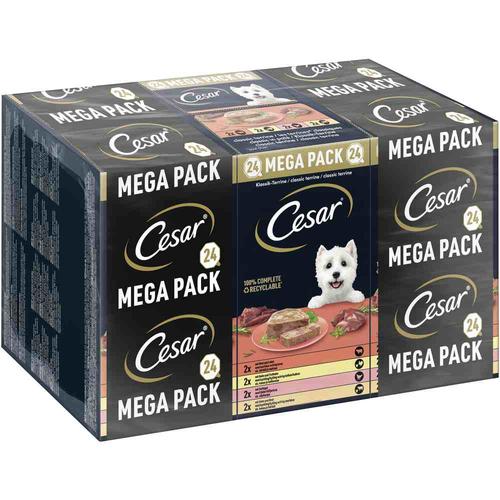 48x150g Classic Terrine Cesar Hundefutter Nass - 42+6 gratis!