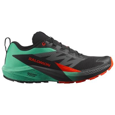 Salomon - Sense Ride 5 - Trailrunningschuhe 41 1/3 | EU 41 bunt Image