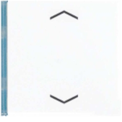 Jung Taste 4-fach aws LS 404 TSAP WW 14 LS404TSAPWW14 Image