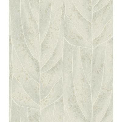 Dicot Light Green Leaf Wallpaper