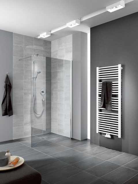 Kermi Walk-In Pasa XP TWG 0800x2000, silber mattglanz, ESG klar mit KermiClean, PXTWG080201PK PXTWG080201PK Image