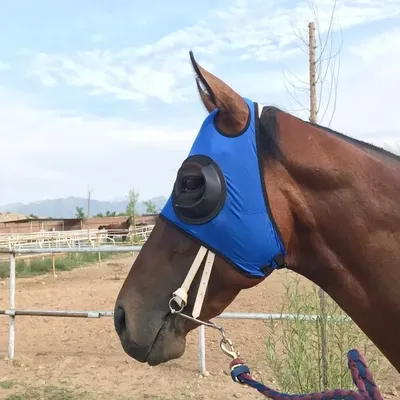 Horse Fly Mask Harness Supplies Horse Cover Windproof Eye Mask Speed Race Goggles Horse Head Cover