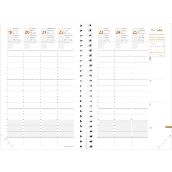 QUO VADIS Terminkalender Time & Life Large 16x24cm Perlmutt rosa 2024 Image