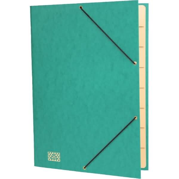 RNK Ordnungsmappe A4 Glanzkarton 390 g/qm DIN 9 Fächer grün Image