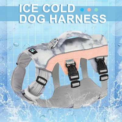 Eiskühlende Hundegeschirrweste, verstellbare Hundegeschirre, reflektierende Image