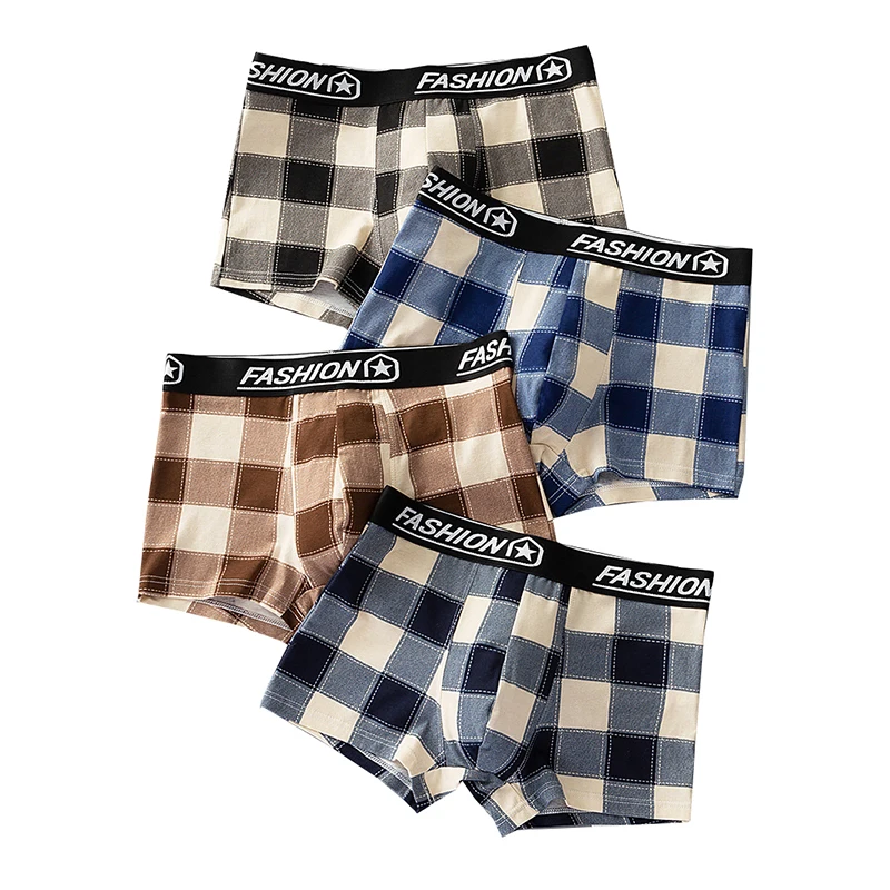 4 stücke männer Unterwäsche Neue Stil Männer Boxer Shorts Mode Männer Panites Plus Größe Unterwäsche Sommer Sexy Atmungsaktive Plaid unterhose Image