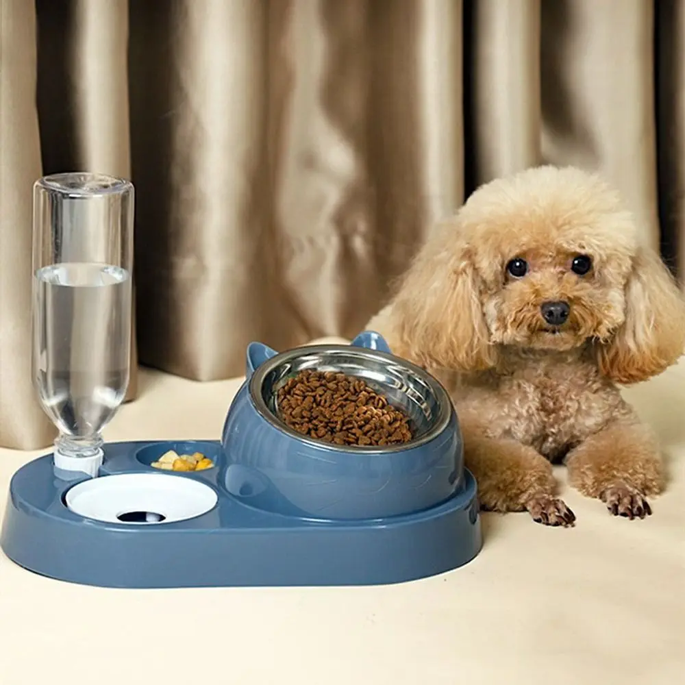 Récipient de nourriture avec abreuvoir pour animaux de compagnie, bol 2 en 1 pour chat, distributeur d'eau, stockage d'eau automatique, bol de nourriture pour chien et chat