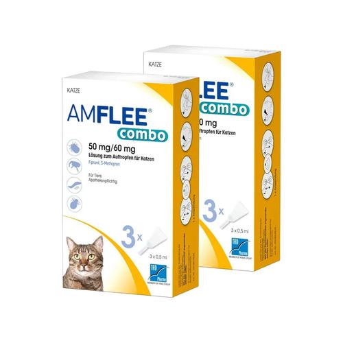 Amflee combo 50 mg/60 ml für Katzen Doppelpack 2x3 St Lösung