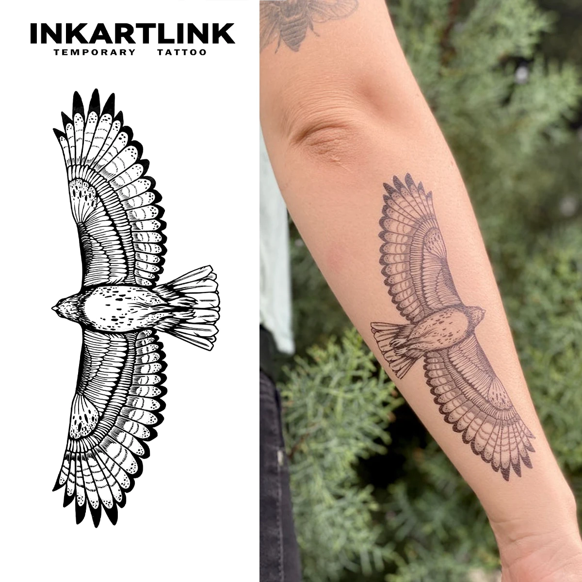 Adler mit Flügeln verteilen, temporäres Tattoo, hält bis 15 Tage, neue Technologie, magischer, wasserfester, semi-permanenter Aufkleber. Image