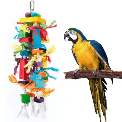 Parrot Toys, Stands, Poles, Bird Cages, Parrots, Swings, Tiger Skins, Cockatiels, Decompression