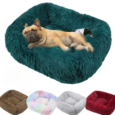 Dog+Supplies