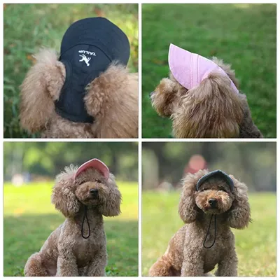Kleine Welpen Haustiere Sommer Einfarbig Kappe Hund Baseball Visier Hut Outdoor Zubehör Sonne Image