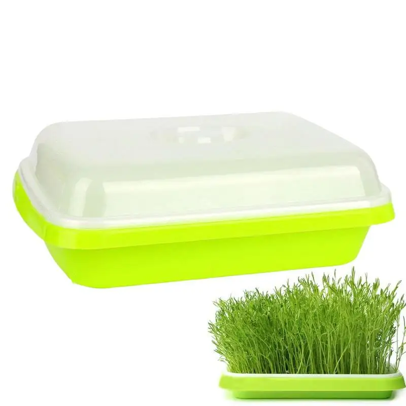 Samen Sprouter Tray boden freie Micro greens wachsende Tabletts Kindergarten Tablett Samen Keims chale Weizen gras Katze Gras Sämling Pflanzen Image