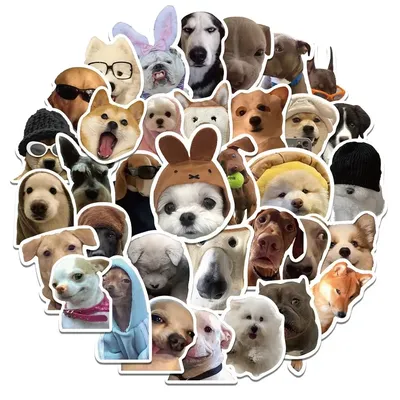 10/30/50pcs lustige Meme Hund wasserdichte Graffiti Aufkleber ästhetische dekorative Gepäck Laptop Image