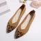 Scarpe a punta scarpe da donna Comfort scarpe da donna Fashions 2024 scarpe leopardate Zapato Mujer