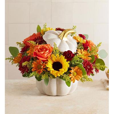 1-800-Flowers Flower Delivery Autumn White Pumpkin Large