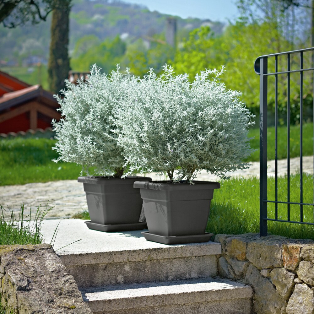 euro3plast Kübel KREA quadratisch 35 cm anthrazit Image