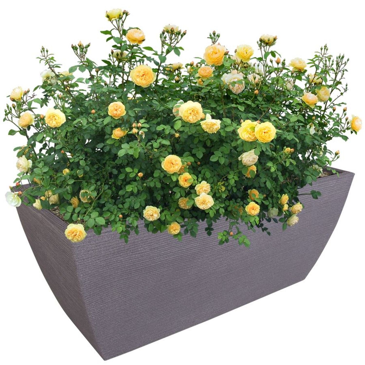 Rillen-Pflanztrog grau Pflanzkübel Blumentopf Pflanztopf Blumenkübel Übertopf Grau Image