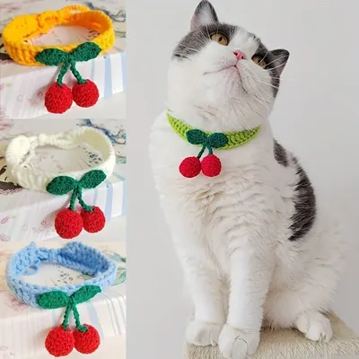 Cat+Supplies