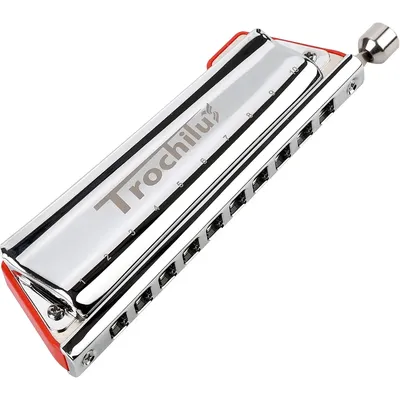 JDR Trochilus 10 Holes Chromatic Harmonica Key of C Armonica Valveless Harp Mouth Organ Chromonica