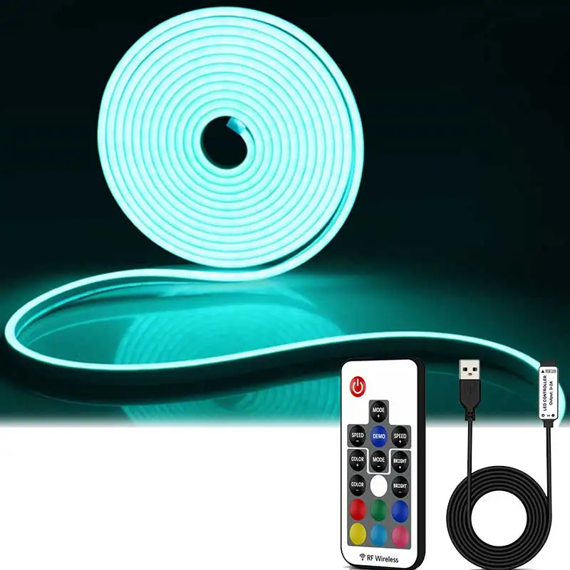 RGB Neon Streifen USB Neon Licht Streifen 1/2/3/4/5M DC5V IP65 wasserdichte Neon Lichter Für Schlafzimmer Küche Home Indoor LED Dekortion