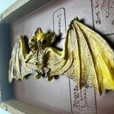 Card image cap