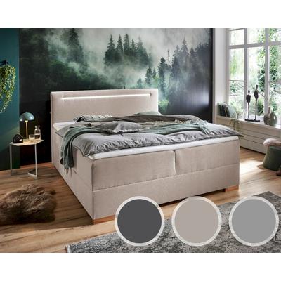 meise.möbel »Cooper I« Boxspringbett inkl. Bettkasten 120x200 cm / FARO taupe Nr. 20 Image