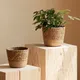 Cestino di vimini intrecciato in paglia naturale fatto a mano vaso di fiori in paglia di Rattan vaso di fiori rotondo cesto portaoggetti cesto per fioriera