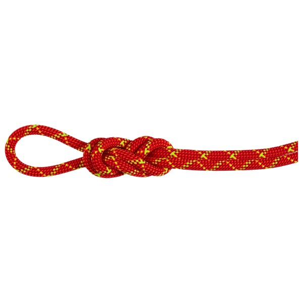 Mammut - 8.0 Alpine Core Protect Dry Rope - Halbseil Länge 50 m rot/weiß