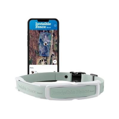 Invisible Fence Wireless GPS Dog Fence System & Tracking Collar, Gray
