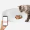 Frische Trocken Nass Lebensmittel Aufladen Automatische Pet Feeder Katze Smart Fütterung Hundefutter Spender WiFi Taste Timing Langsam Fütterung
