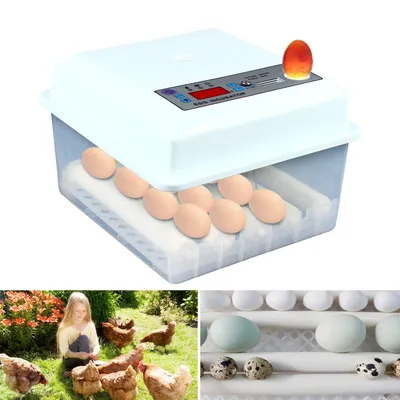 Fully Automatic Egg Incubator 16 Eggs Digita Mini Automatic Incubatores with Turner for Hatching