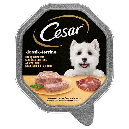 28x150g Klassik-Terrine mit Geflügel und Rind Cesar Hundefutter nass